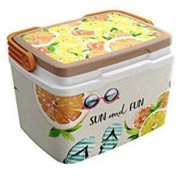 Life Story Nevera Rigida 6L