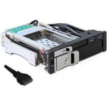 DeLOCK 5.25 Mobile Rack - Caja de Disco Duro