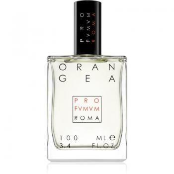Profumum Roma Orangea Unisex Eau de Parfum 100 ml