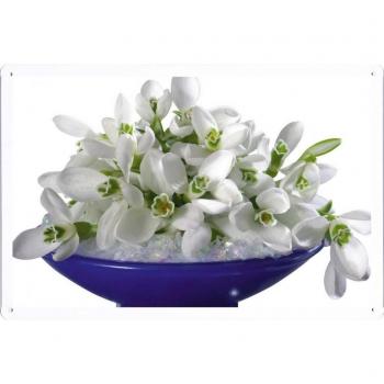 Metal cartel Cartel de chapa Hojalata sesión Flower Tin Sign Snowdrops Primroses Spring Design 25318 Retro Vintage Pared Decoración by hamgaacaan