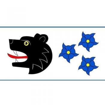 Barto?ovice v Orlických horách CZ | Barto?ovice v Orlických horách Bandera 20x30cm para Diplomat-Flags Banderas de Coche