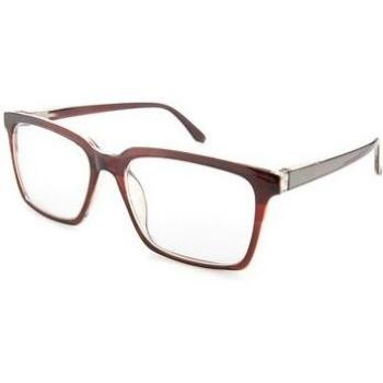 Gafas de lectura Nordic Vision Borgholm +3