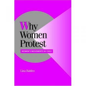 Why Women Protest: Women's Movements in Chile - Cambridge Comparative Politics Edition (Paperback)