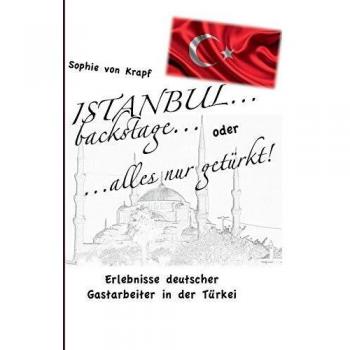 Istanbul entre bastidores: Experiencias de trabajadores alemanes en Turquía (Tapa blanda)