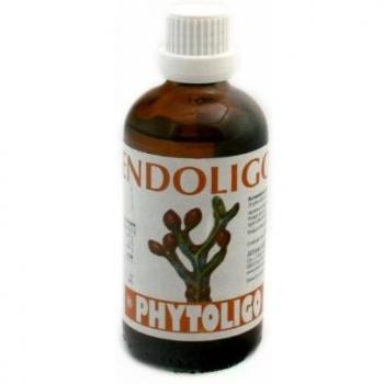 ARTESANIA AGRICOLA ENDOLIGO 100 ml