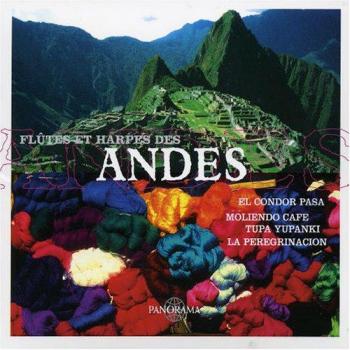 Flutes Et Harpes Des Andes