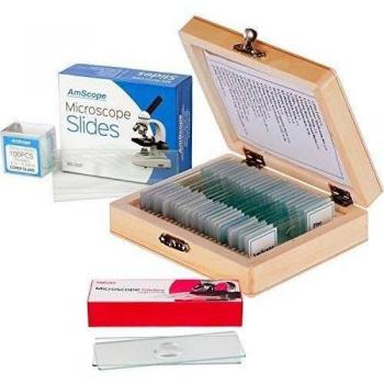 AmScope - Microscopio preparado diapositivas, 50 pre-cleaned en blanco placa diapositivas, 6 único depresión cóncava diapositivas y 100 coverslips - PS25-BSC6-50P100S22