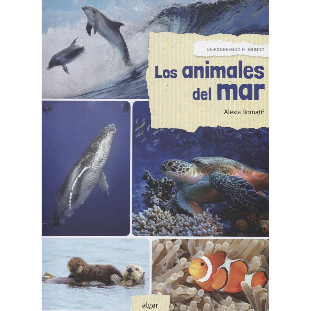 Imagen Principal