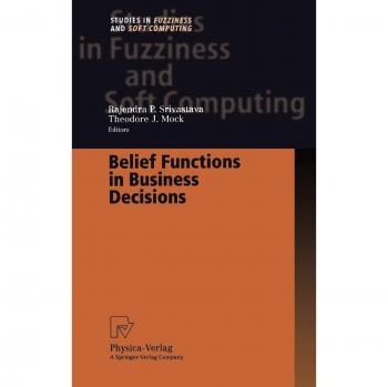 Belief Functions in Business Decisions: Fuzzy Logic Applications for Decision-Making