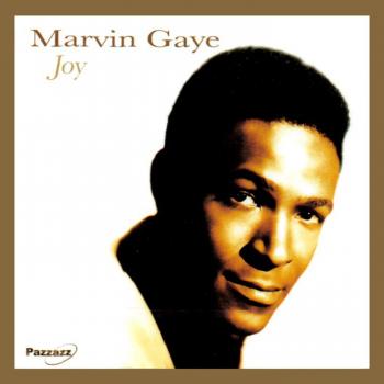 Joy - Marvin Gaye