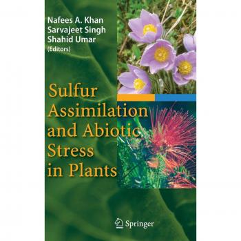 Sulfur Assimilation and Abiotic Stress in Plants