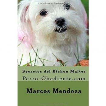 Secretos del Bichon Maltes: Perro-Obediente.com