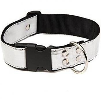 Collar y correa para perro Martin Sellier L (40 cm, pasear)