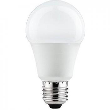 Paulmann Bombilla LED AGL 282.44, 7 W, E27, 230 V, 6500 K, 28244