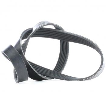 Correa trapecial poli V FEBI BILSTEIN 39786