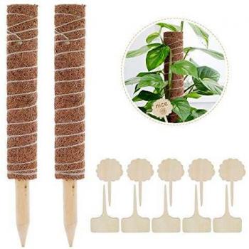 Lemecima 2 Paquetes Palo de Tótem de Coco Palo de Musgo de Coco Tótem de Musgo de Coco para Enredaderas Soporte de Plantas Extensión Escalada Plantas de Interior, 41cm