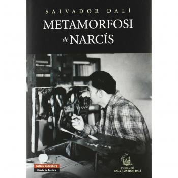 Metamorfosi de Narcís