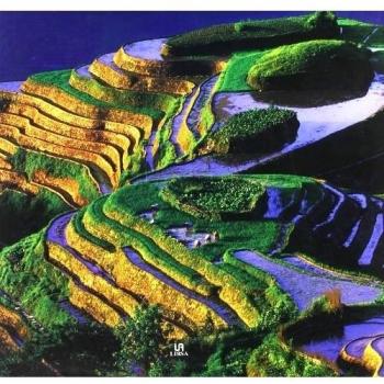 China: El Reino del Dragón