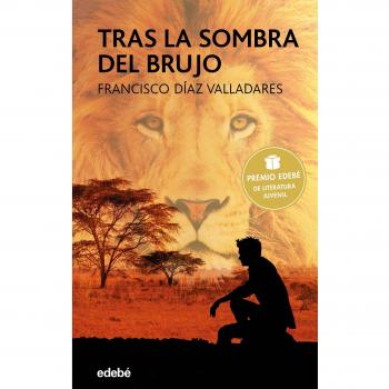 Tras la sombra del brujo. Premio edebé 2017: 80 - DIAZ VALLADARES, FRANCISCO