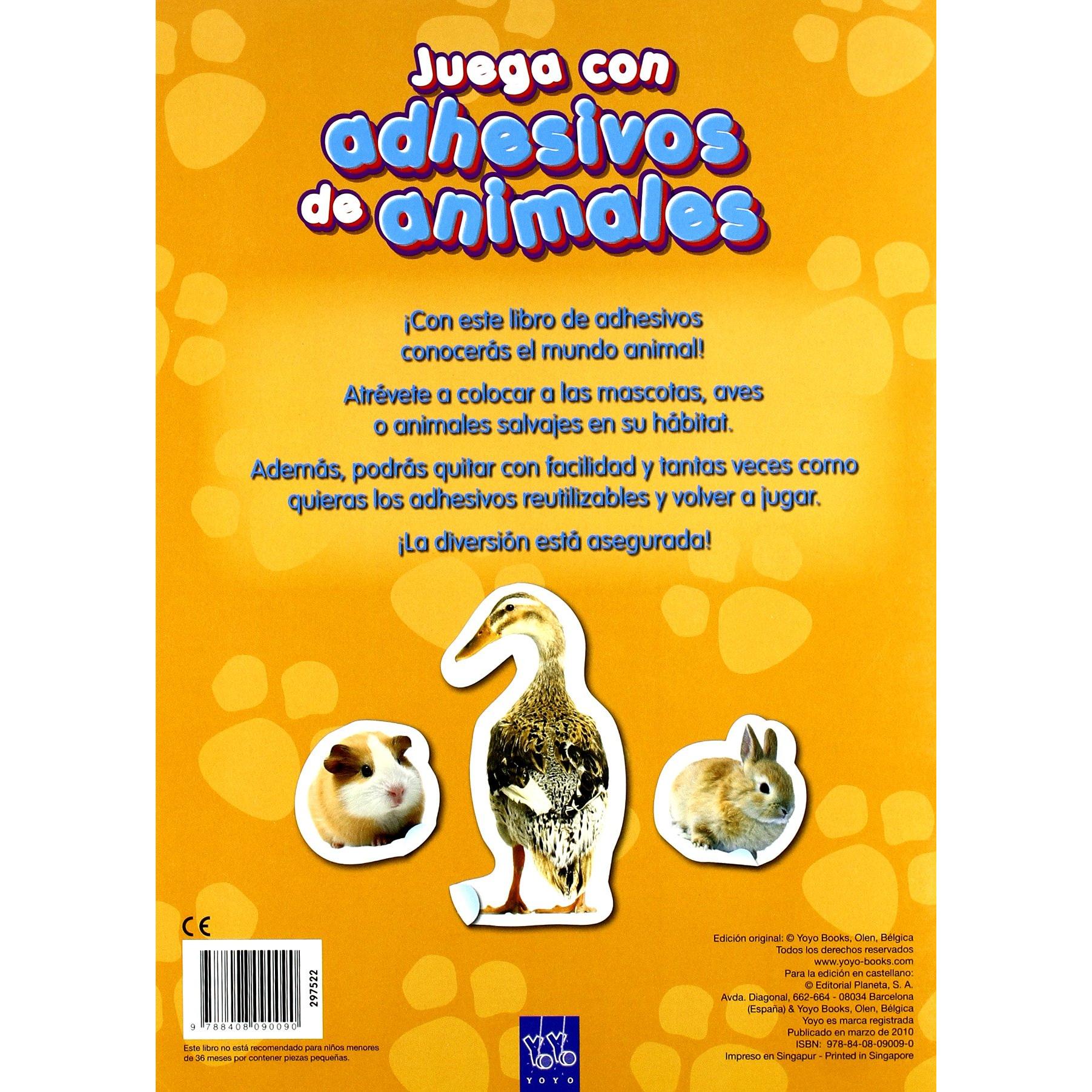 Imagen Principal