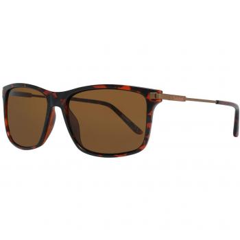 Timberland TB7177 Sunglasses - Size: ONESIZE, Color: Brown, Style: Square, Material: Metal