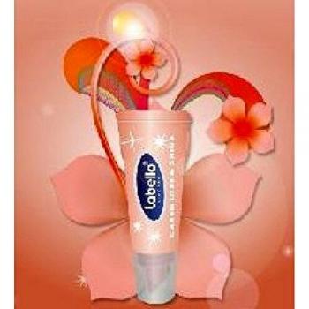 Liposan Classic Lip Balm Protector 4.8g