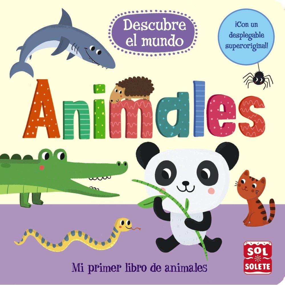 Imagen Principal