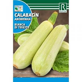 Semillas de Calabacín bianca di trieste