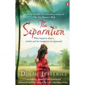 La Separación de Dinah Jefferies - Novela Literaria Contemporánea