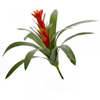 artplants.de Guzmania Artificial en vareta con Flor roja, 45cm - Planta Decorativa - Flor sintética