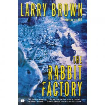 The Rabbit Factory: A Novel of Southern Grit and Dark Humor