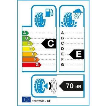 Superia Bluewin VAN M+S - 215/70R15 109R - Neumático de Invierno