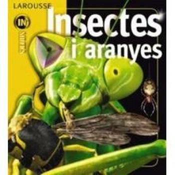 Insectes i aranyes