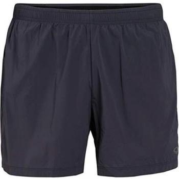 Icebreaker Impulse 2019 - Pantalones cortos de running para hombre, color pantera nuevo, tamaño xx-large