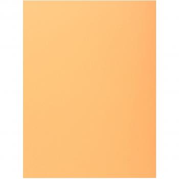 Subcarpetas 1 solapa Super Exacompta 339002E - 210 g/m2 - Pack de 5 unidades