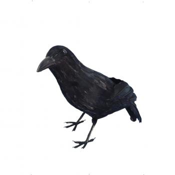 Smiffys Cuervo, Negro, Con plumas, 33cm