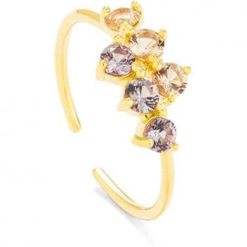 Anillo Fantasy de Plata Dorado