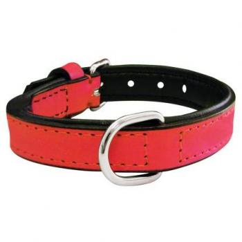Collar para Perro Gloria Acolchado Naranja (45 x 2 cm)