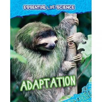 Adaptation