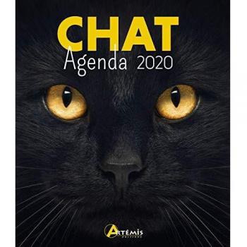 AGENDA CHAT 2020