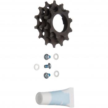 E13 FWS 10-100 Piñón para Cassette de Ciclismo