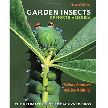 Garden Insects of North America: The Ultimate Guide to Backyard Bugs: The Ultimate Guide to Backyard Bugs - Second Edition