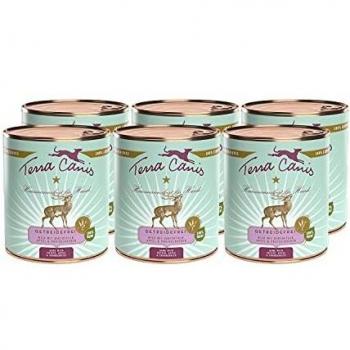 Terra Canis Menú sin cereales 6 x 800g - Venado con patatas, manzana y arándanos rojos