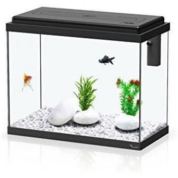 Acuario Kit Avc 50X25