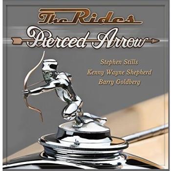 Pierced arrow vinilo