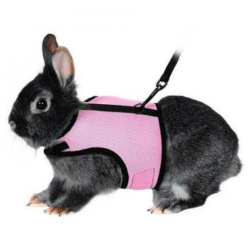 UEETEK El arnés suave del animal doméstico con el plomo para conejos Los conejitos pequeños del conejito, apoyan los animales domésticos Peso 1.5lbs-4lbs, tamaño L