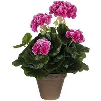MICA Decorations 950216 Flores, Geranium Grandes, Color Violeta