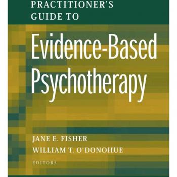 Practitioner's Guide to Evidence Based Psychotherapy