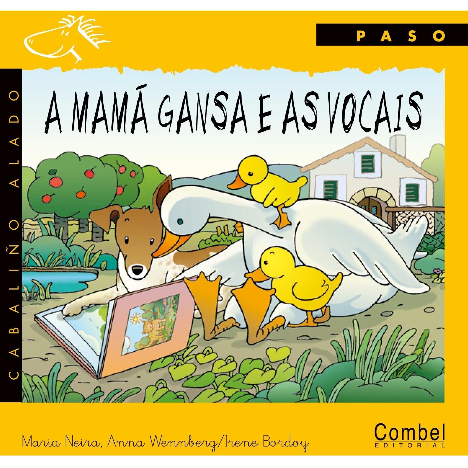 Imagen Principal