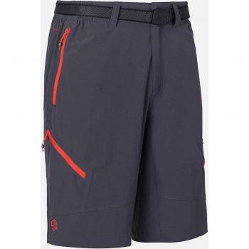 Ternua Pantalón corto Torlok BMDM para montaña hombre Gris (L)